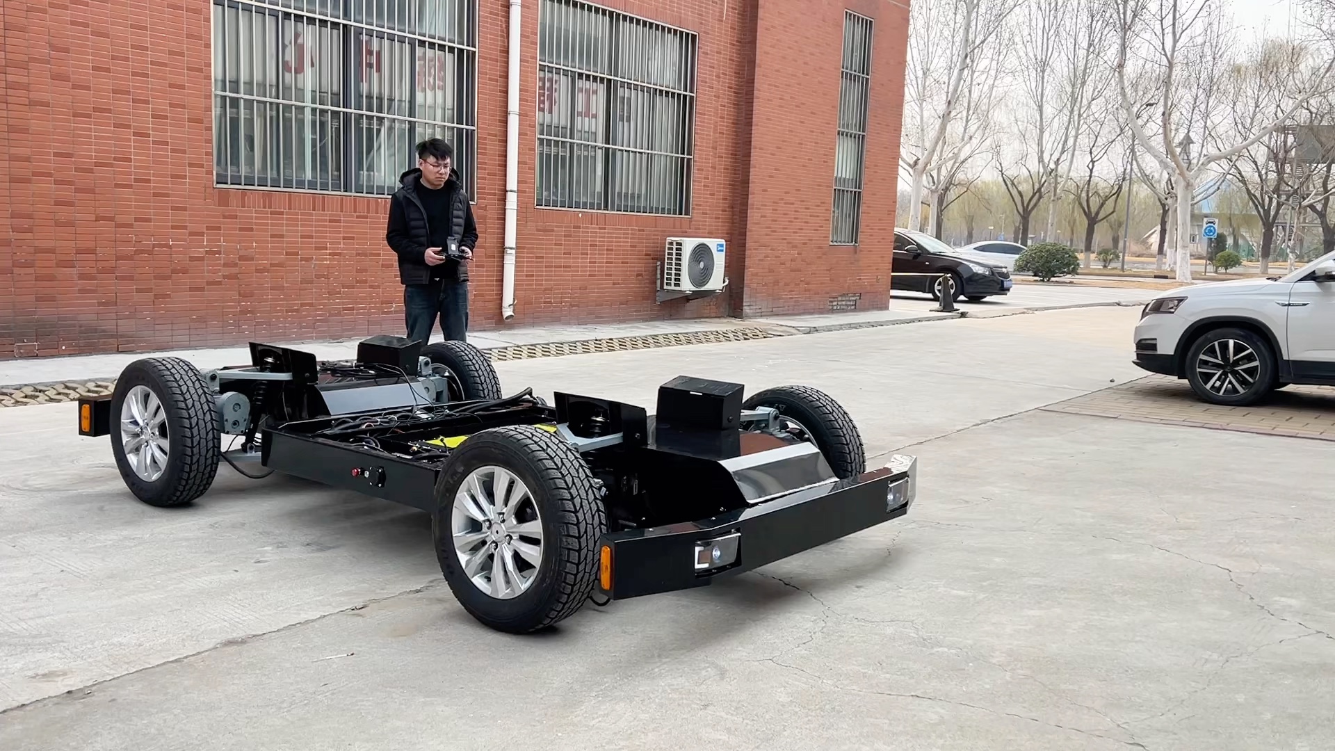 在当前全球汽车行业向电动化转型的背景下